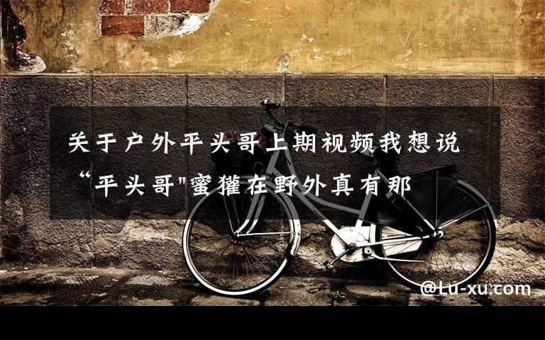 关于户外平头哥上期视频我想说“平头哥"蜜獾在野外真有那么强吗？真相在这里-户外动物知识