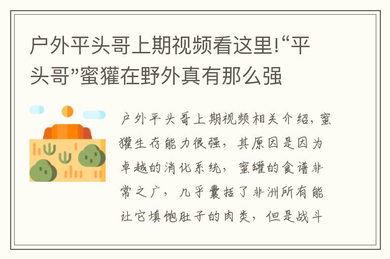 户外平头哥上期视频看这里!“平头哥"蜜獾在野外真有那么强吗？真相在这里-户外动物知识