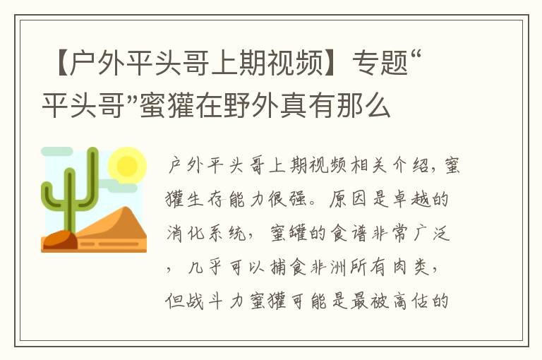 【户外平头哥上期视频】专题“平头哥"蜜獾在野外真有那么强吗？真相在这里-户外动物知识