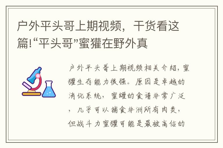 户外平头哥上期视频，干货看这篇!“平头哥"蜜獾在野外真有那么强吗？真相在这里-户外动物知识