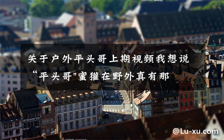 关于户外平头哥上期视频我想说“平头哥"蜜獾在野外真有那么强吗？真相在这里-户外动物知识