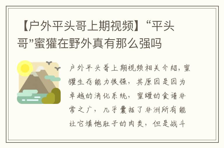 【户外平头哥上期视频】“平头哥"蜜獾在野外真有那么强吗？真相在这里-户外动物知识