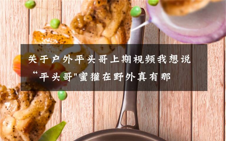 关于户外平头哥上期视频我想说“平头哥"蜜獾在野外真有那么强吗？真相在这里-户外动物知识