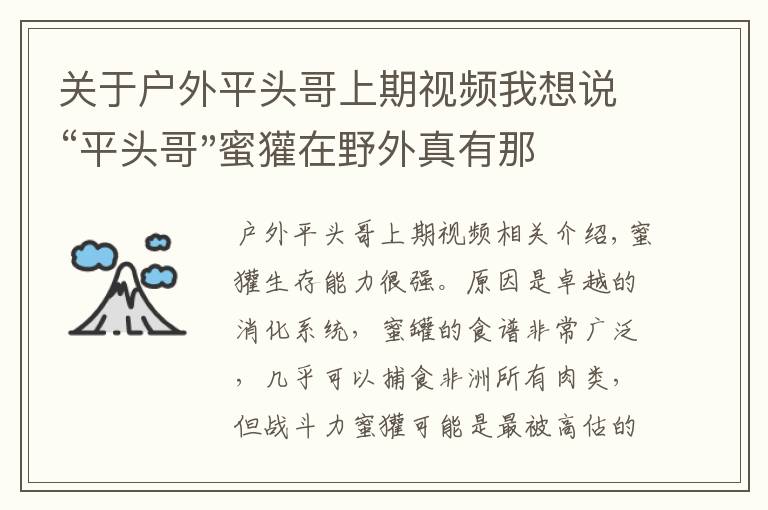 关于户外平头哥上期视频我想说“平头哥"蜜獾在野外真有那么强吗？真相在这里-户外动物知识