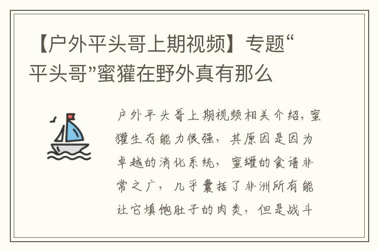 【户外平头哥上期视频】专题“平头哥"蜜獾在野外真有那么强吗？真相在这里-户外动物知识