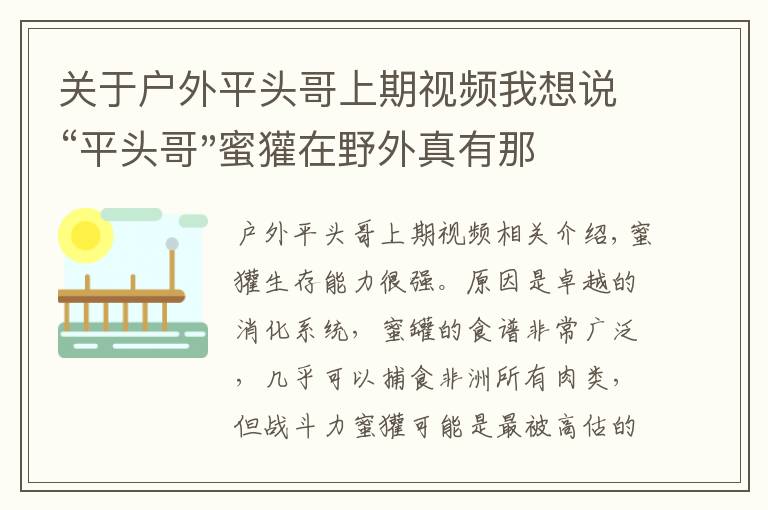 关于户外平头哥上期视频我想说“平头哥"蜜獾在野外真有那么强吗？真相在这里-户外动物知识