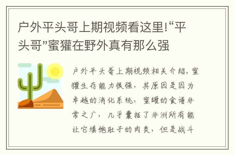 户外平头哥上期视频看这里!“平头哥"蜜獾在野外真有那么强吗？真相在这里-户外动物知识