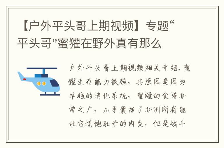 【户外平头哥上期视频】专题“平头哥"蜜獾在野外真有那么强吗？真相在这里-户外动物知识