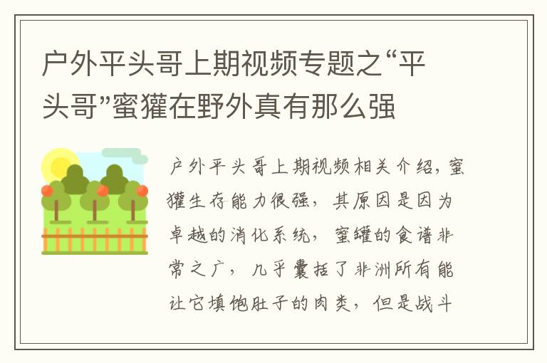 户外平头哥上期视频专题之“平头哥"蜜獾在野外真有那么强吗？真相在这里-户外动物知识