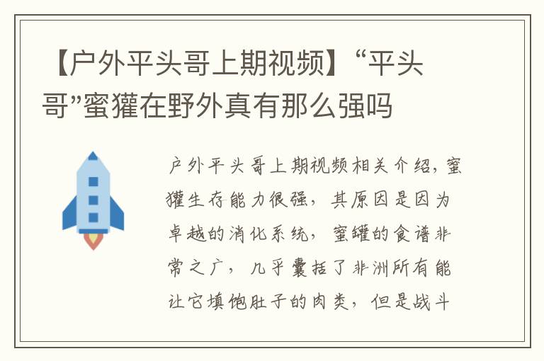 【户外平头哥上期视频】“平头哥"蜜獾在野外真有那么强吗？真相在这里-户外动物知识