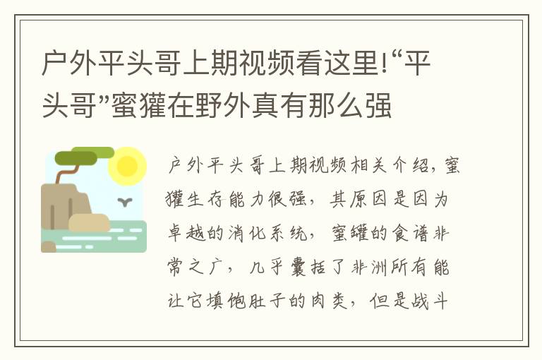 户外平头哥上期视频看这里!“平头哥"蜜獾在野外真有那么强吗？真相在这里-户外动物知识