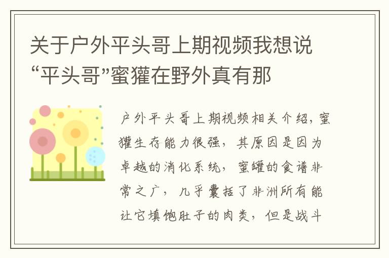 关于户外平头哥上期视频我想说“平头哥"蜜獾在野外真有那么强吗？真相在这里-户外动物知识