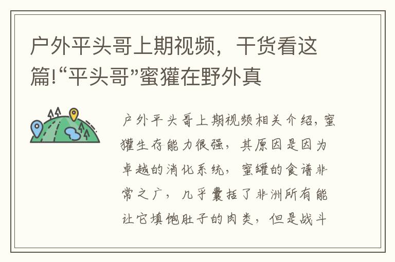 户外平头哥上期视频，干货看这篇!“平头哥"蜜獾在野外真有那么强吗？真相在这里-户外动物知识
