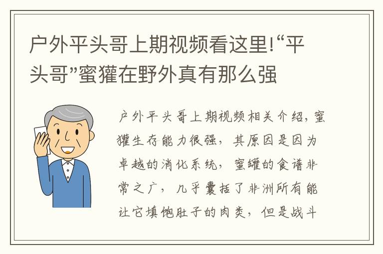 户外平头哥上期视频看这里!“平头哥"蜜獾在野外真有那么强吗？真相在这里-户外动物知识