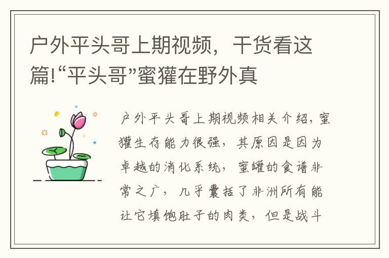 户外平头哥上期视频，干货看这篇!“平头哥"蜜獾在野外真有那么强吗？真相在这里-户外动物知识