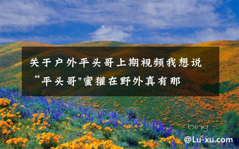 关于户外平头哥上期视频我想说“平头哥"蜜獾在野外真有那么强吗？真相在这里-户外动物知识