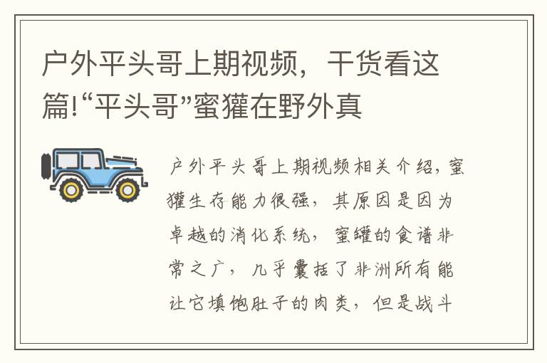 户外平头哥上期视频，干货看这篇!“平头哥"蜜獾在野外真有那么强吗？真相在这里-户外动物知识