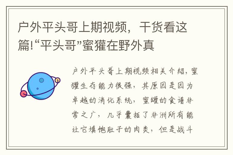 户外平头哥上期视频，干货看这篇!“平头哥"蜜獾在野外真有那么强吗？真相在这里-户外动物知识