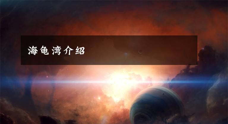 海龟湾介绍
