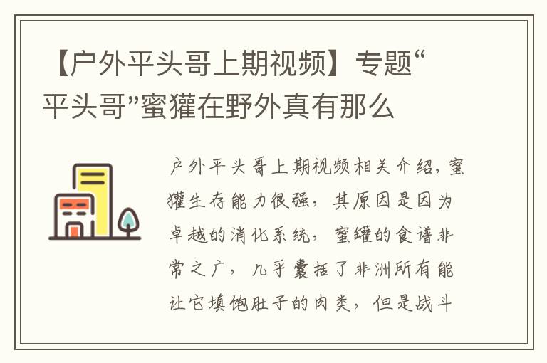 【户外平头哥上期视频】专题“平头哥"蜜獾在野外真有那么强吗？真相在这里-户外动物知识