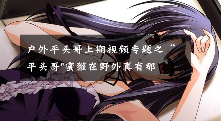 户外平头哥上期视频专题之“平头哥"蜜獾在野外真有那么强吗？真相在这里-户外动物知识