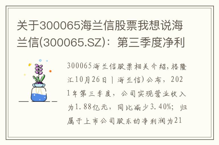关于300065海兰信股票我想说海兰信(300065.SZ)：第三季度净利润降93.53%至213.9万元