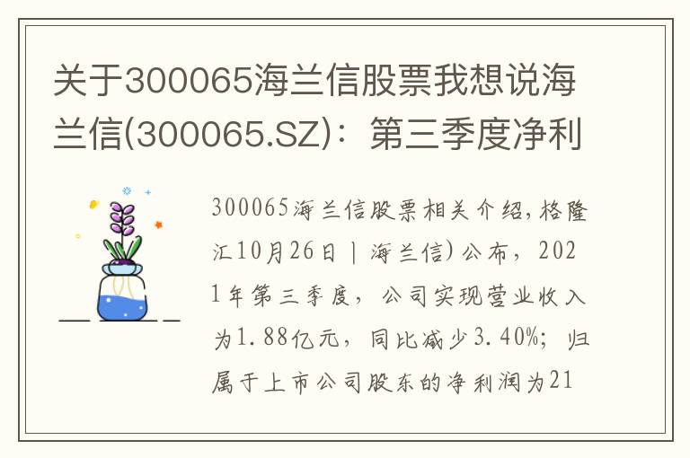 关于300065海兰信股票我想说海兰信(300065.SZ)：第三季度净利润降93.53%至213.9万元