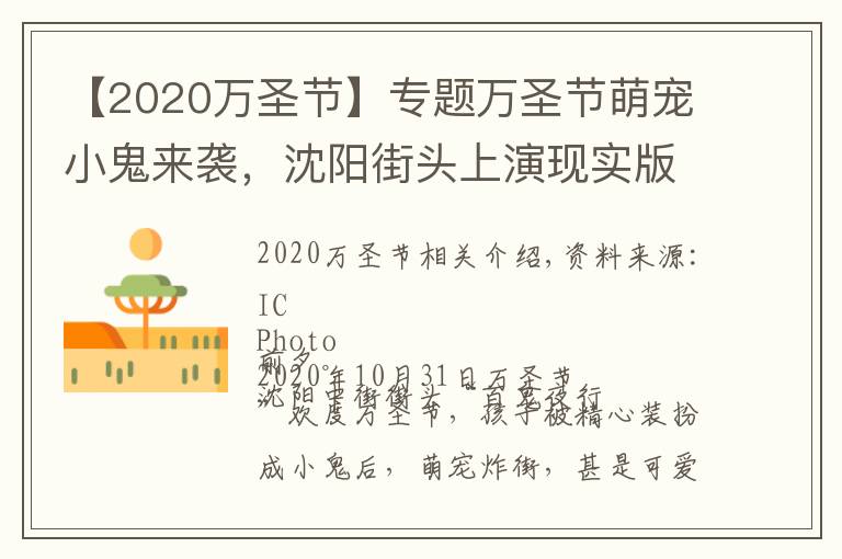 【2020万圣节】专题万圣节萌宠小鬼来袭，沈阳街头上演现实版“小鬼当街”