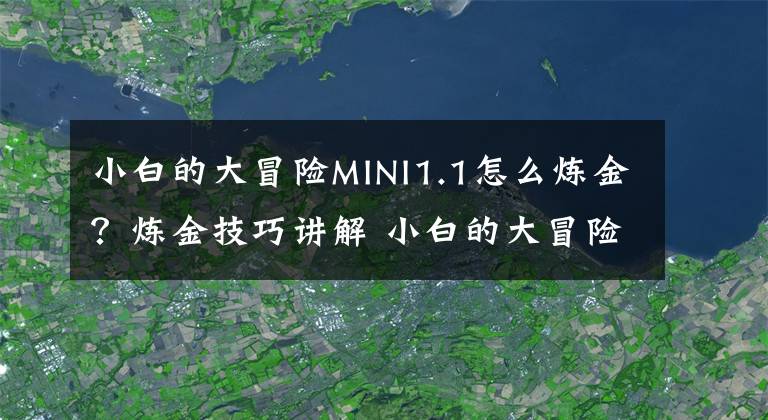 小白的大冒险MINI1.1怎么炼金？炼金技巧讲解 小白的大冒险炼金配方