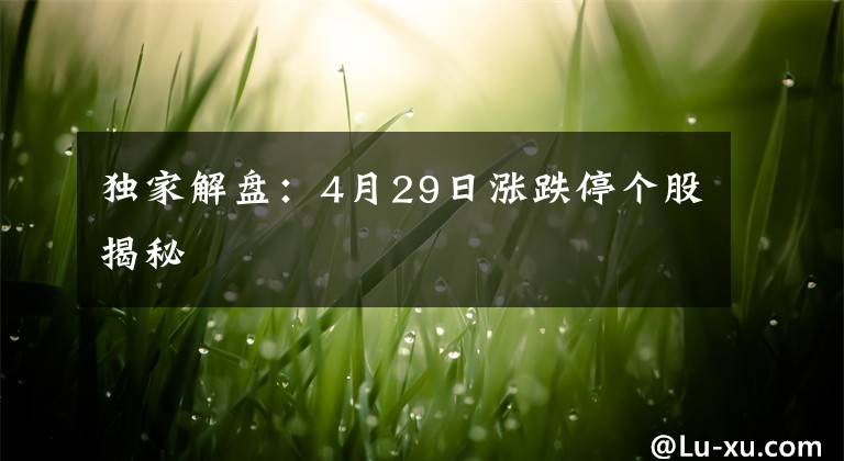 独家解盘：4月29日涨跌停个股揭秘