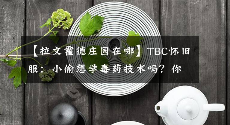 【拉文霍德庄园在哪】TBC怀旧服：小偷想学毒药技术吗？你想喝菊花茶吗？先执行职业任务吧