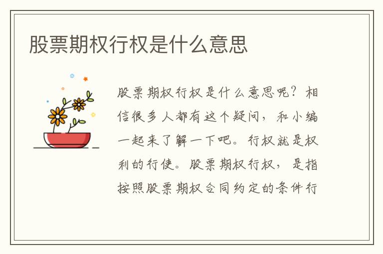 股票期权行权是什么意思