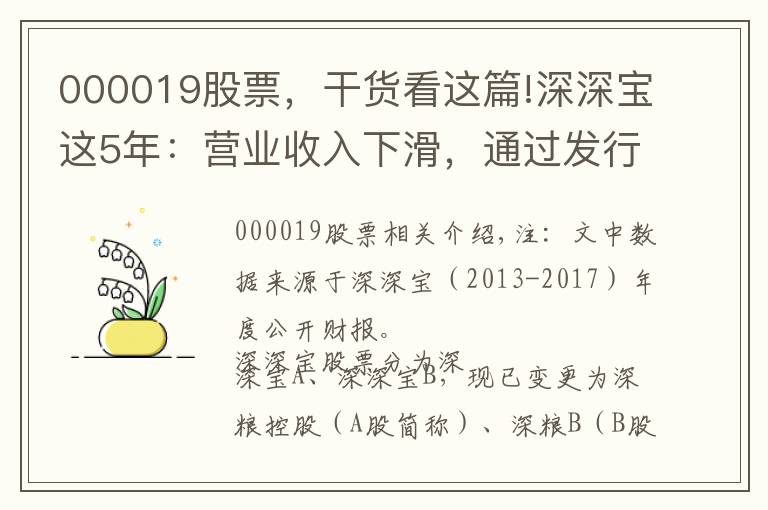 000019股票，干货看这篇!深深宝这5年：营业收入下滑，通过发行股份收购深粮，将走向哪？