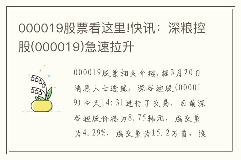 000019股票看这里!快讯：深粮控股(000019)急速拉升