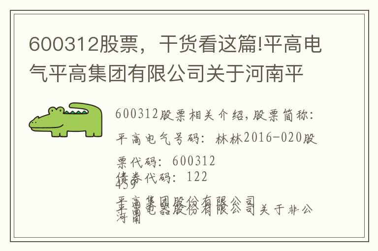 600312股票，干货看这篇!平高电气平高集团有限公司关于河南平高电气股份有限公司非公开发行股票摊薄即期回报采取填补措施的承诺的公