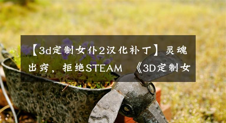 【3d定制女仆2汉化补丁】灵魂出窍，拒绝STEAM  《3D定制女仆2》 R18补丁