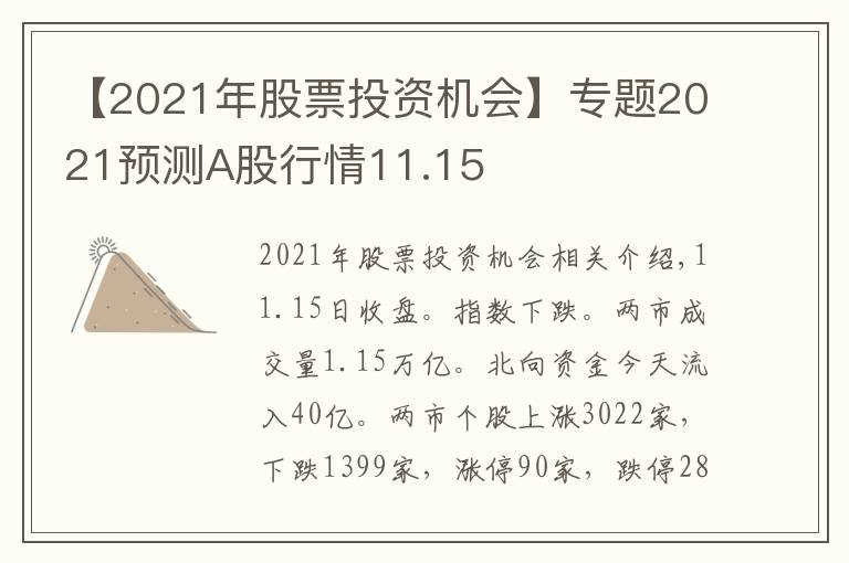 【2021年股票投资机会】专题2021预测A股行情11.15