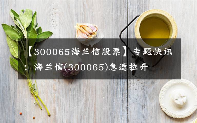 【300065海兰信股票】专题快讯：海兰信(300065)急速拉升