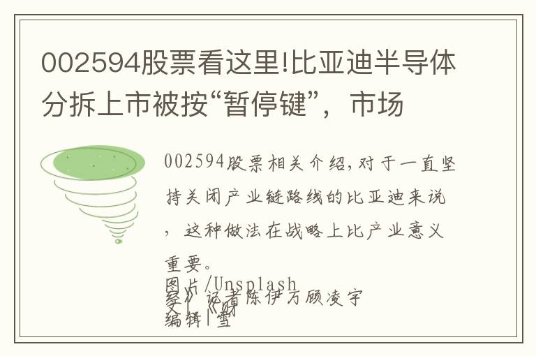 002594股票看这里!比亚迪半导体分拆上市被按“暂停键”，市场争议百亿估值