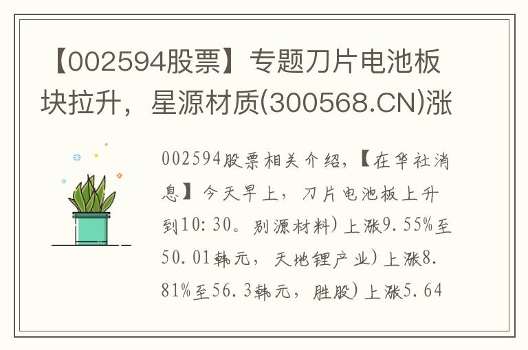 【002594股票】专题刀片电池板块拉升，星源材质(300568.CN)涨9.55%
