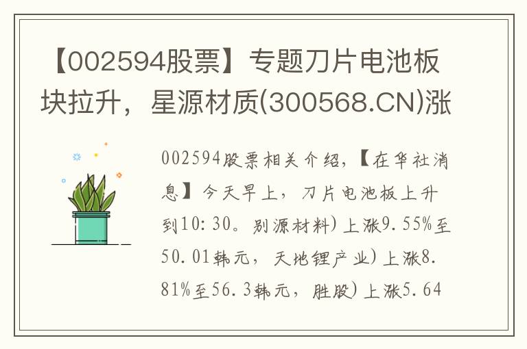 【002594股票】专题刀片电池板块拉升，星源材质(300568.CN)涨9.55%