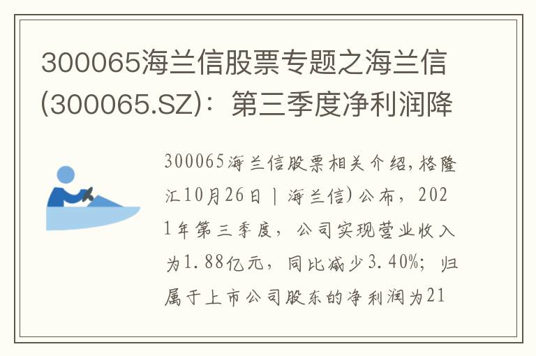 300065海兰信股票专题之海兰信(300065.SZ)：第三季度净利润降93.53%至213.9万元