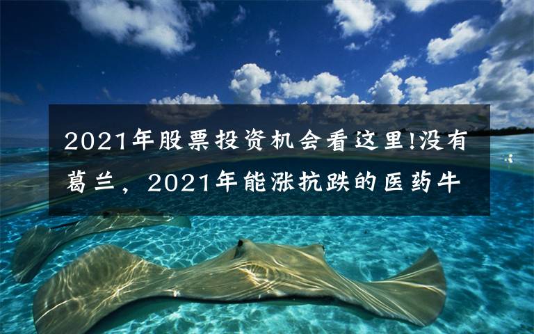 2021年股票投资机会看这里!没有葛兰，2021年能涨抗跌的医药牛基全在这里
