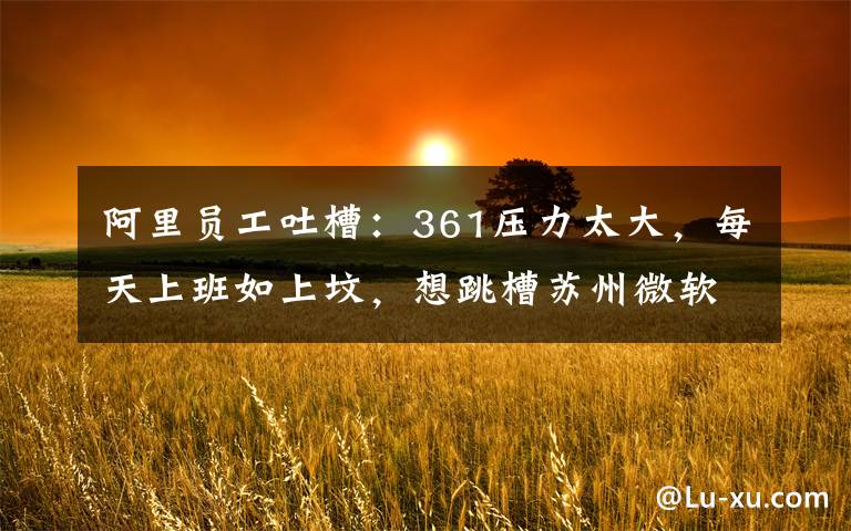 阿里员工吐槽：361压力太大，每天上班如上坟，想跳槽苏州微软了