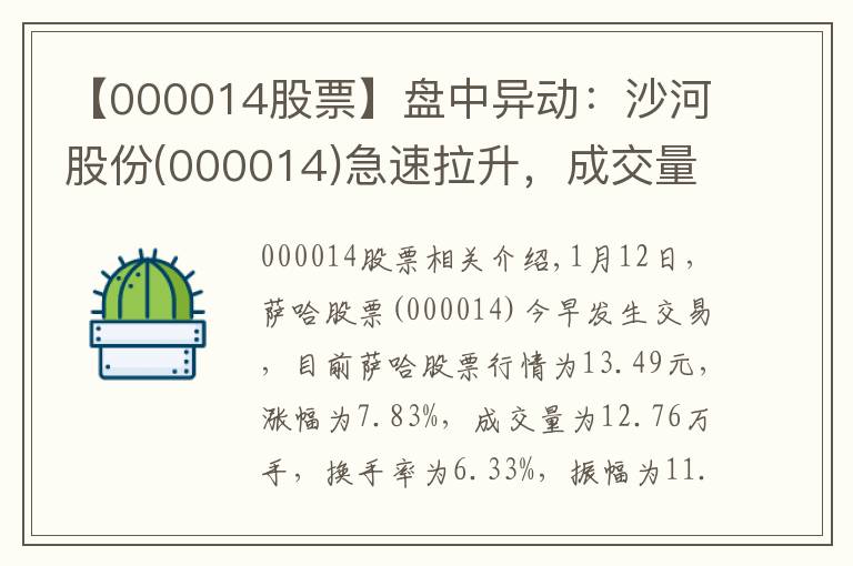 【000014股票】盘中异动：沙河股份(000014)急速拉升，成交量放大