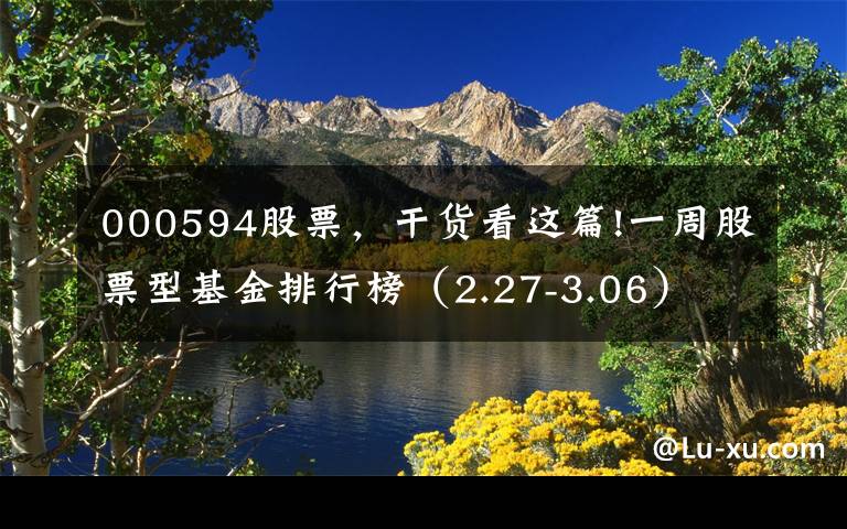 000594股票，干货看这篇!一周股票型基金排行榜（2.27-3.06）