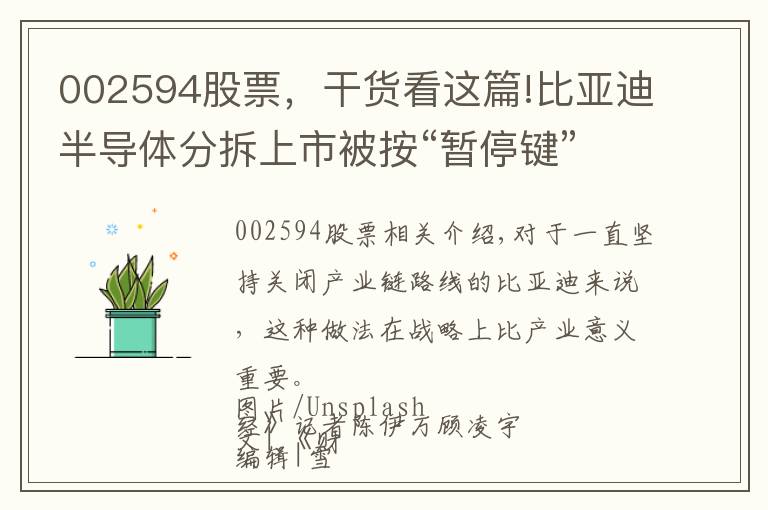 002594股票，干货看这篇!比亚迪半导体分拆上市被按“暂停键”，市场争议百亿估值