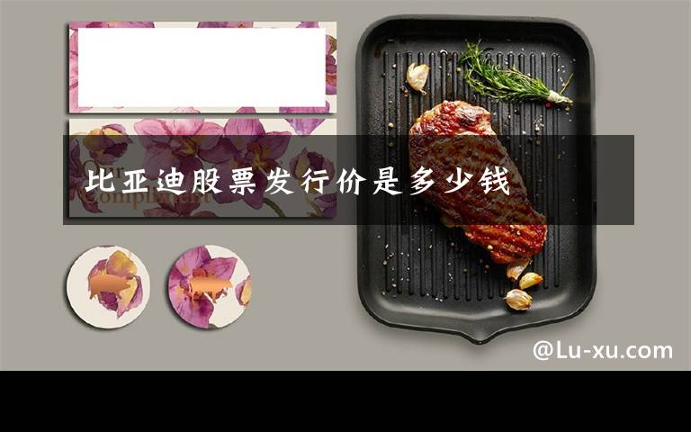 比亚迪股票发行价是多少钱