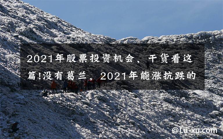 2021年股票投资机会，干货看这篇!没有葛兰，2021年能涨抗跌的医药牛基全在这里