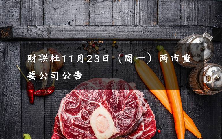 财联社11月23日（周一）两市重要公司公告